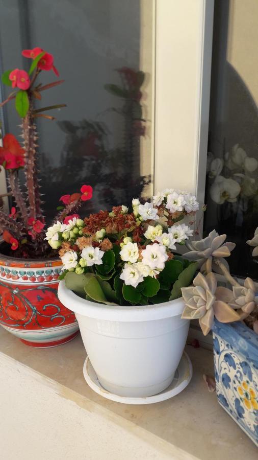 Lucy Home Lussuoso Appartamento Recanati Mare Giardini Naxos Eksteriør billede